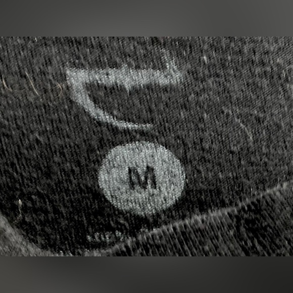 Evanescence Chrome Logo Band T-shirt Size M - Picture 3 of 5